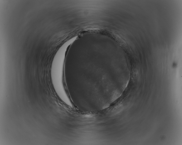 X0000091881010200710031737