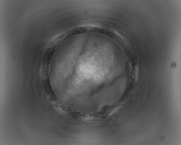 X0000091881014200710031737