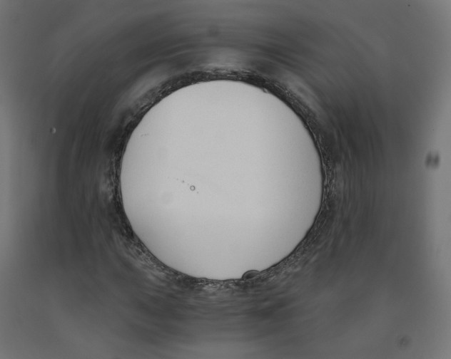 X0000091881015200710031737