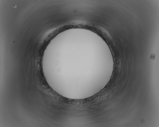 X0000091881016200710031737