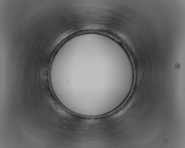 X0000091881017200710031737