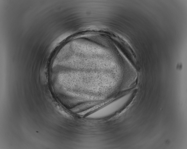 X0000091881018200710031737