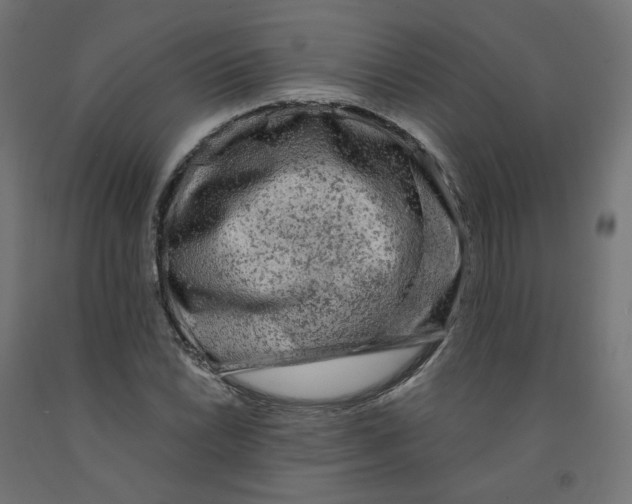 X0000091881022200710031737