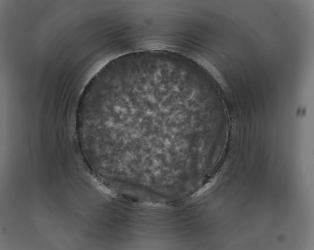 X0000091881023200710031737