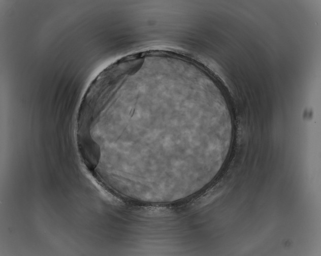 X0000091881024200710031737