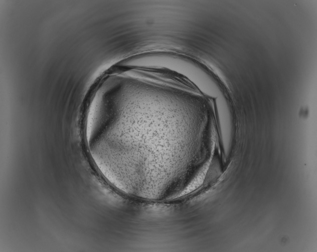 X0000091881026200710031737