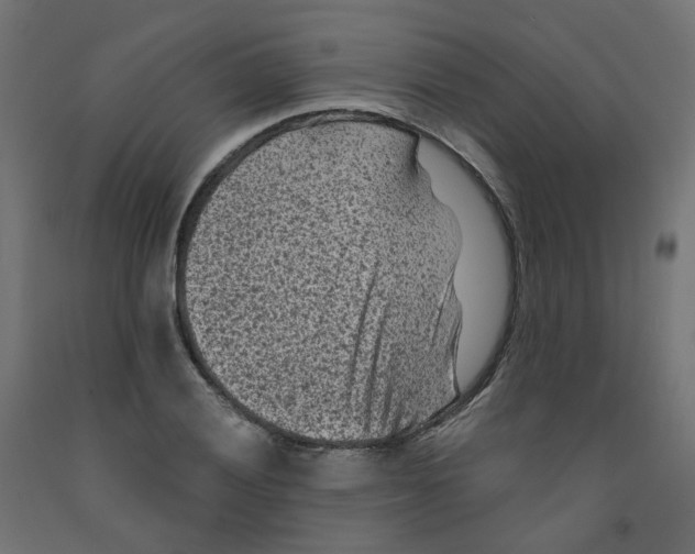 X0000091881028200710031737