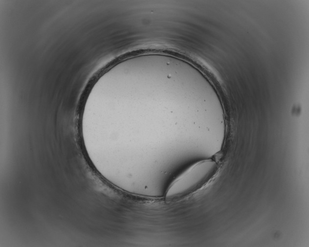 X0000091881029200710031737