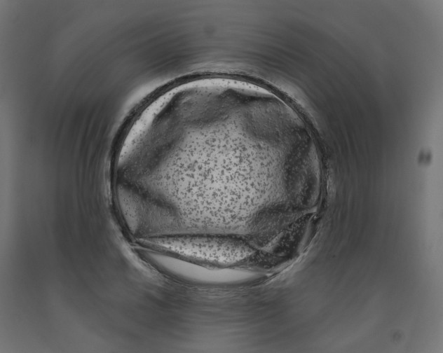 X0000091881030200710031737