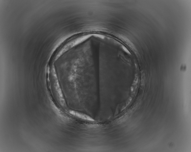 X0000091881031200710031737