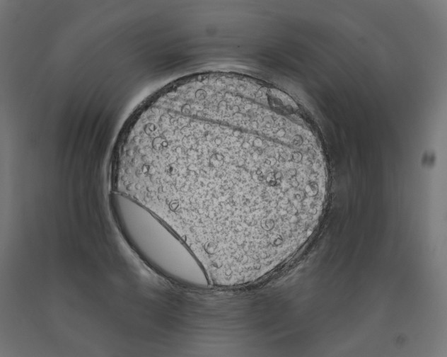 X0000091881032200710031737