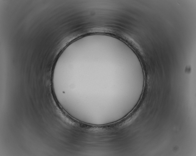 X0000091881033200710031737