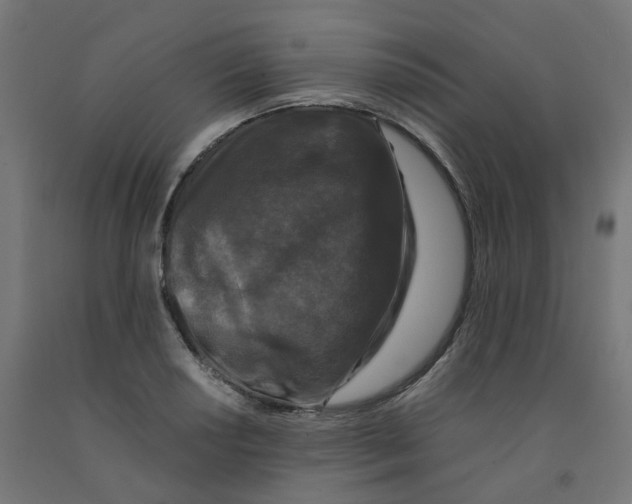 X0000091881034200710031737