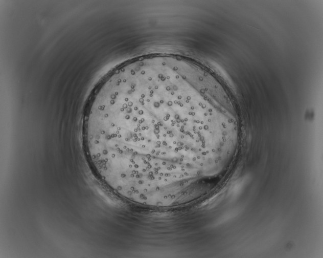 X0000091881035200710031737