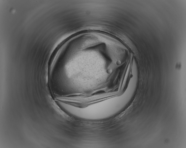 X0000091881036200710031737