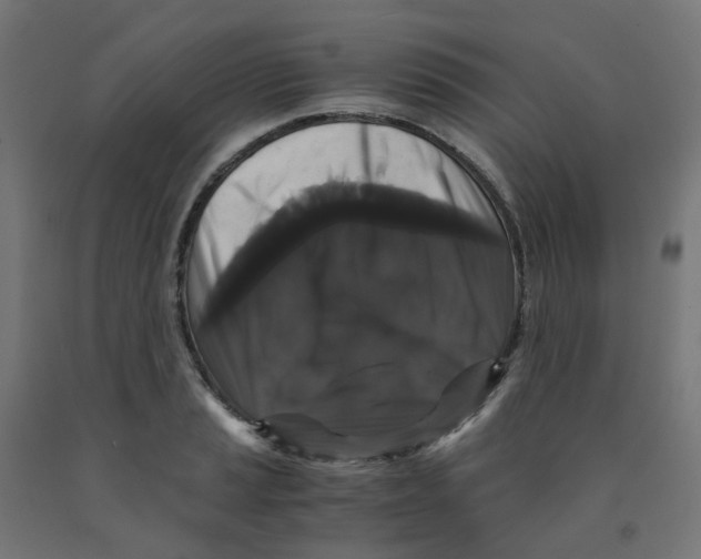 X0000091881037200710031737