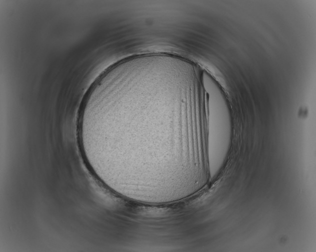 X0000091881039200710031737