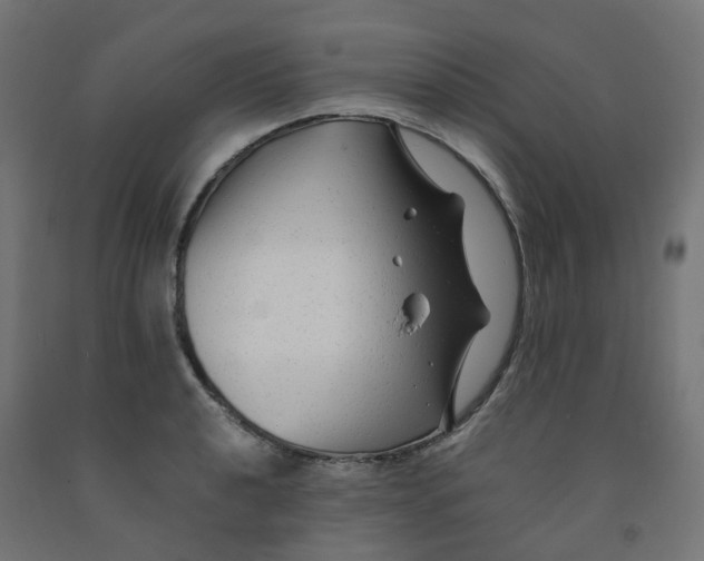 X0000091881040200710031737