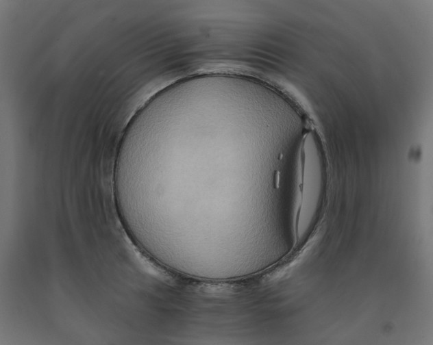 X0000091881041200710031737