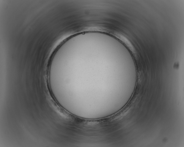 X0000091881043200710031737