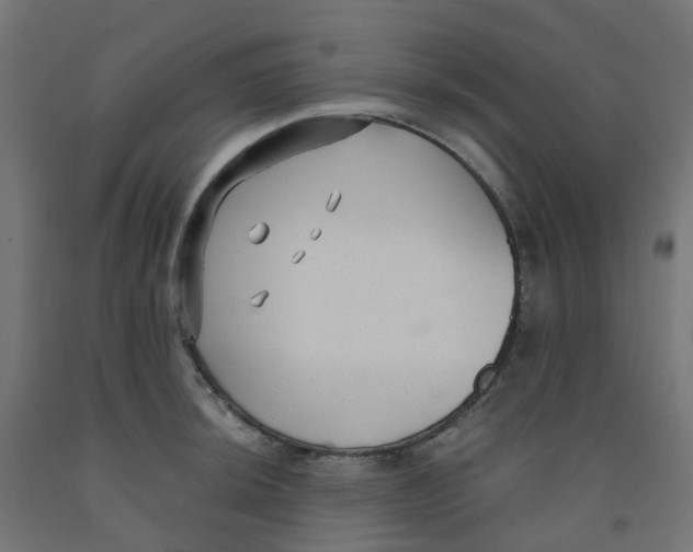 X0000091881044200710031737