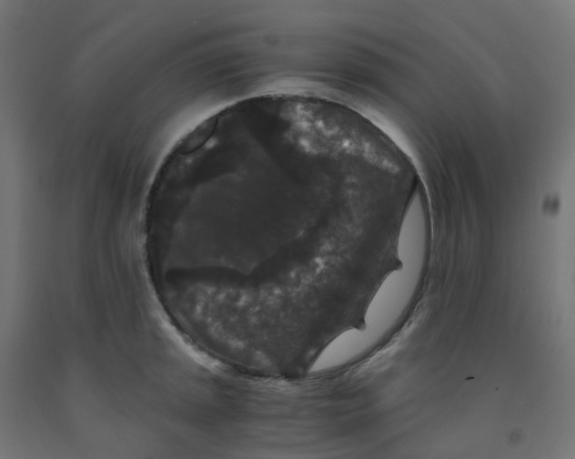 X0000091881045200710031737