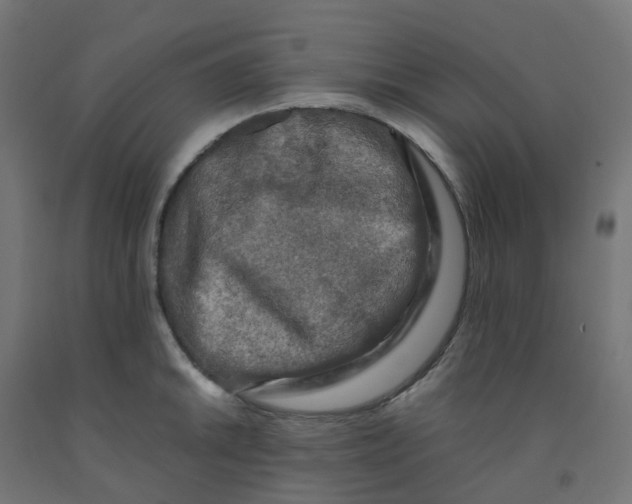 X0000091881046200710031737