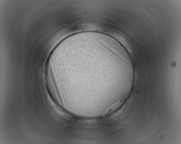 X0000091881047200710031737