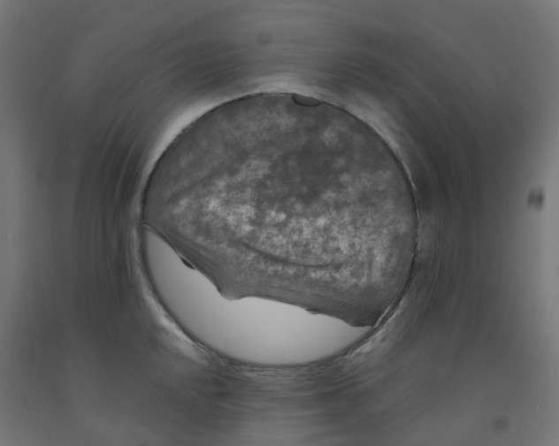 X0000091881048200710031737