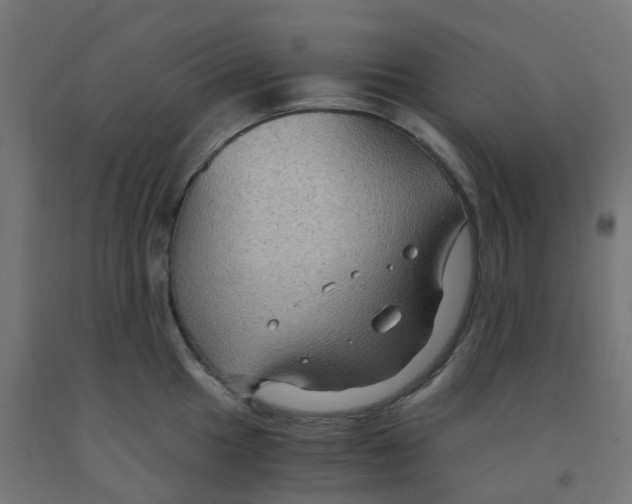 X0000091881049200710031737