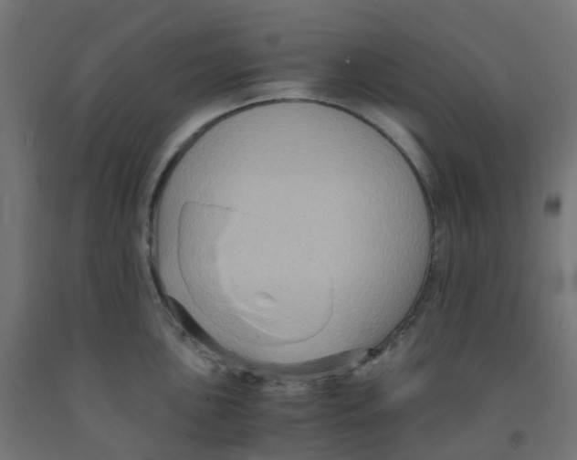 X0000091881051200710031737