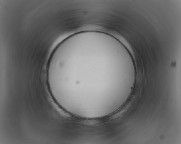 X0000091881053200710031737