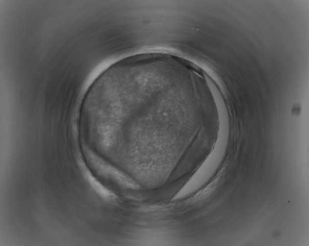 X0000091881054200710031737