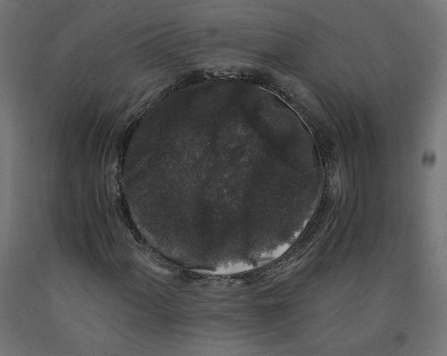 X0000091881060200710031737