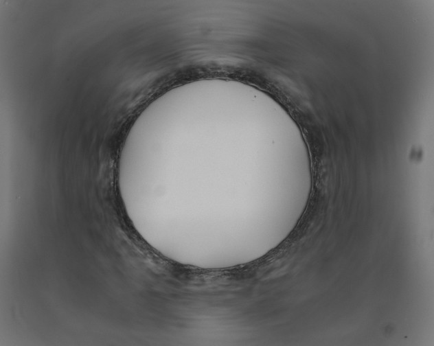 X0000091881061200710031737