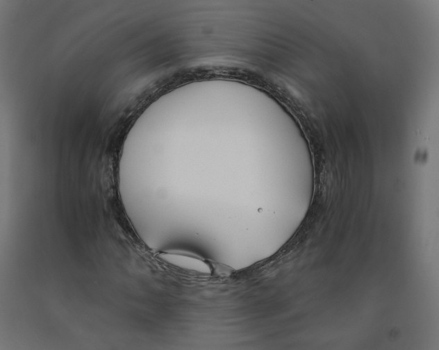 X0000091881062200710031737