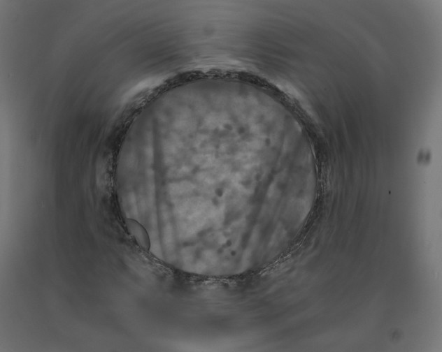 X0000091881063200710031737