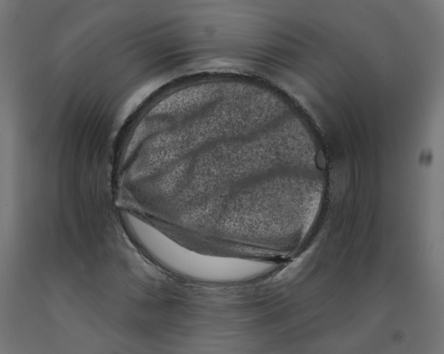 X0000091881066200710031737