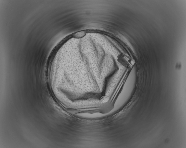 X0000091881068200710031737