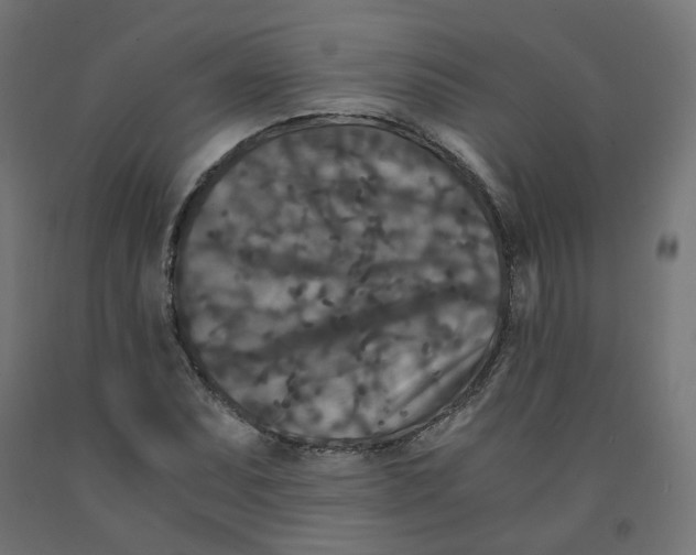 X0000091881071200710031737