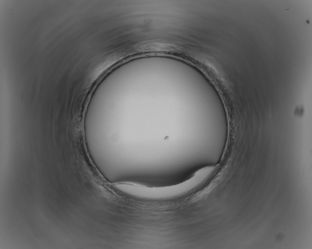 X0000091881073200710031737