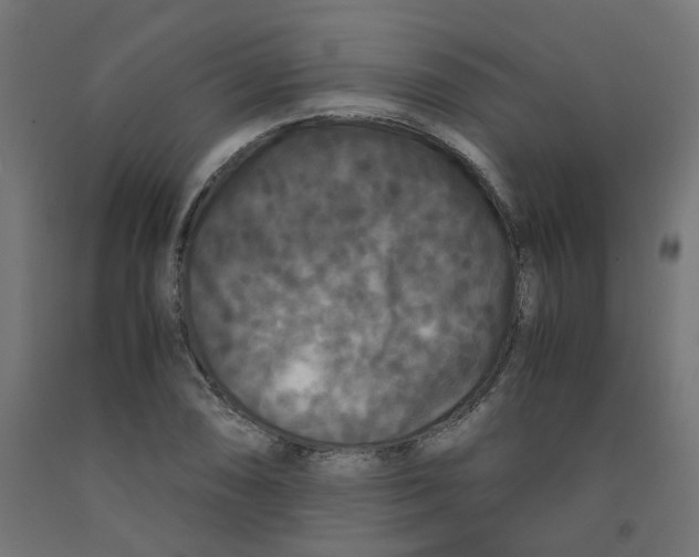 X0000091881074200710031737