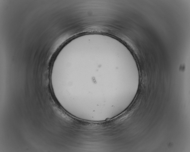 X0000091881075200710031737