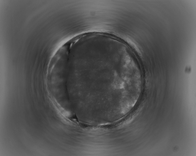 X0000091881077200710031737