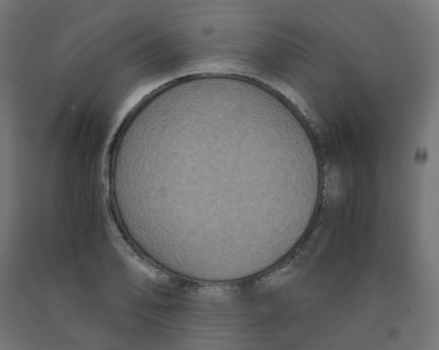 X0000091881078200710031737