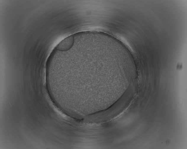 X0000091881079200710031737