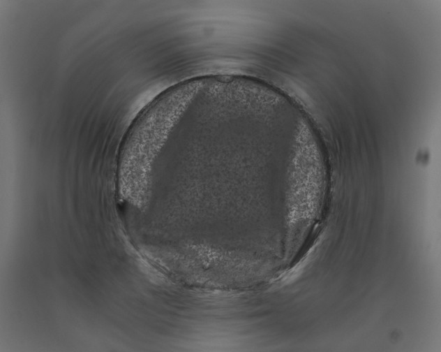 X0000091881081200710031737