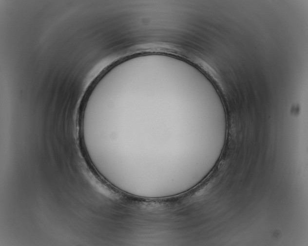 X0000091881082200710031737