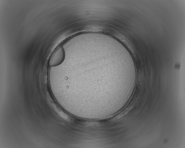 X0000091881083200710031737