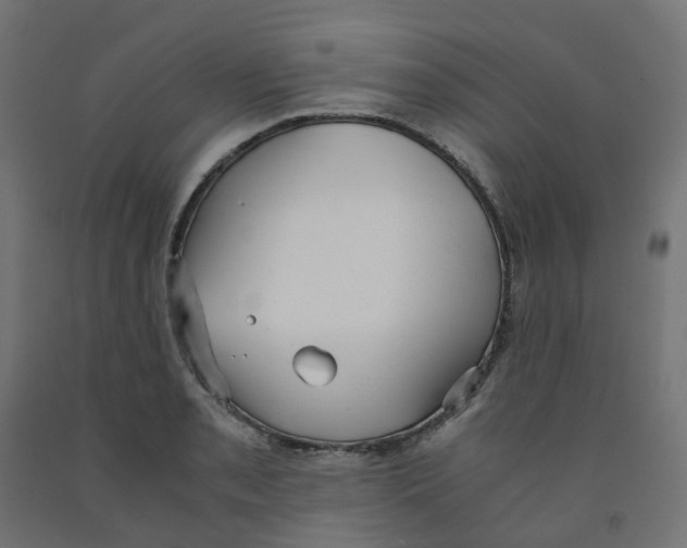 X0000091881085200710031737